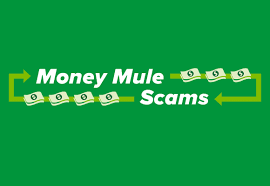 Money Mules: The Unwitting Accomplices of Financial Crime